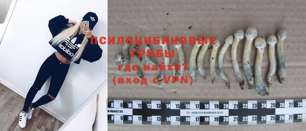 MDMA Premium VHQ Краснослободск