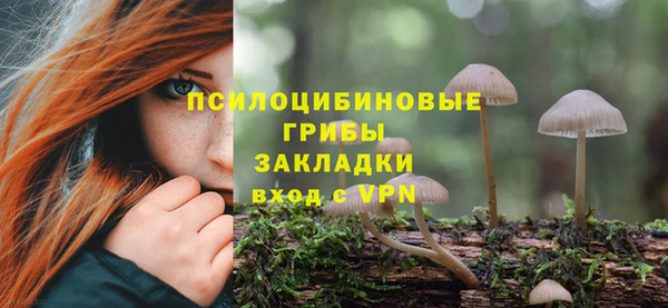 мдпв Краснотурьинск