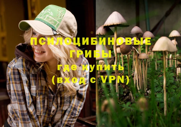 шишки Красноперекопск