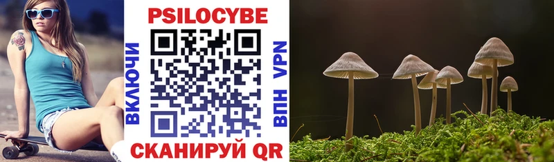 Купить  Ильский  Галлюциногенные грибы Cubensis 
